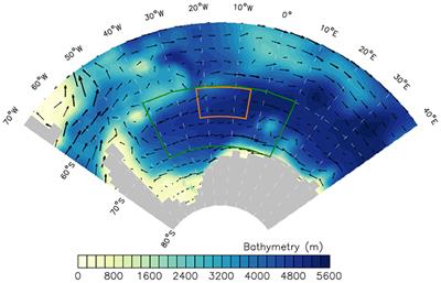 Internal Ocean Dynamics Control the Long-Term Evolution of Weddell Sea Polynya Activity